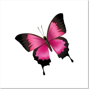 Pink Butterfly Posters and Art